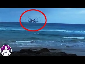Videos Paranormales Que Captaron Elementales En Cámara