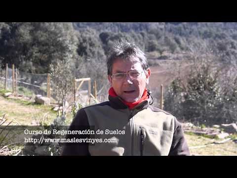 Método de Línea Clave - Keyline para la regeneración de suelos