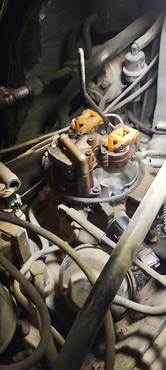 10K views · 44 reactions | New member here and first tbi I've owned....