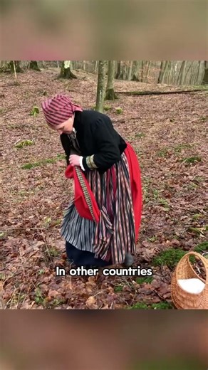 Why were skirts lifters so popular in 19th-century Europe? — part 2 #foryou #youtubeshort #europe