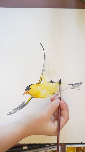 Watercolor American Goldfinch Longer process video below in the comments | Painted Wing