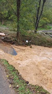 Send help Bakersville, NC | Coree Loffink