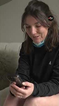 She accompanies a young disabled person to the Marathon des Sables