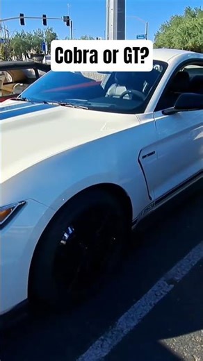 Is this a Mustang Cobra or a Mustang GT? #Mustang #cars #gtspeed