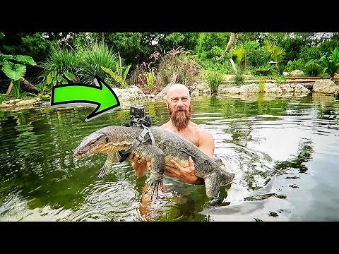 I Strapped a GoPro to my Giant Lizard Slinky!