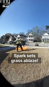 895K views · 1.9K reactions | The fire spread fast  | Daily Mail Video | Facebook