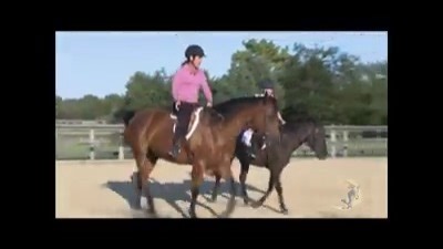 3.8K views · 55 reactions | How to Post the Correct Diagonal Can you post on the correct diagonal without looking? In order for me to feel the correct diagonal, all I have to do is feel when my outside hip lifts. Every time my outside hip comes up, I’m going to say to myself, “Up.” Then I’ll begin posting on the word, “Up.” | Julie Goodnight Horsemanship | Facebook