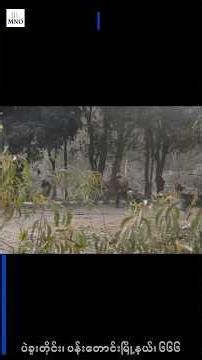 ၆၆၆ ပွိုင့်ကုန်းစခန်းမှထွက်ပြေးလာတဲ့စစ်သား ၇ ဦးကို AA က ဖမ်းမိထား