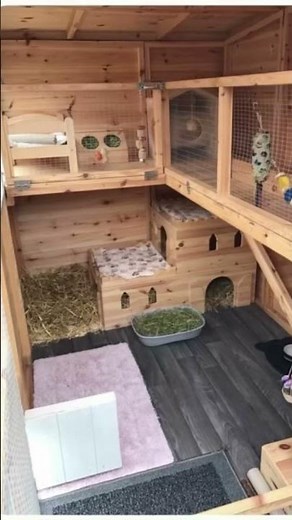 Idées d’enclos pour lapin #new #lapin #ideas