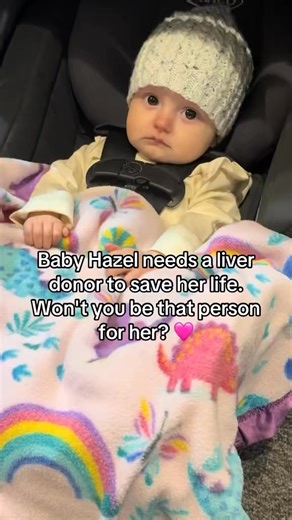 Baby Hazel is battling cancer and needs a liver donor to save her life. Please apply here: https://livingdonorreg.upmc.com #baby #cancer #liver #donor #savealife | Sweet Buffalo
