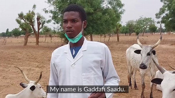 37 reactions | Animal health workers play an important role in their communities, and we support them with training and equipment. In Kano, animal health workers like Gaddafi Saadu help livestock owners to protect their livelihoods and investment by providing care to their animals. | International Committee of the Red Cross in Nigeria | Facebook