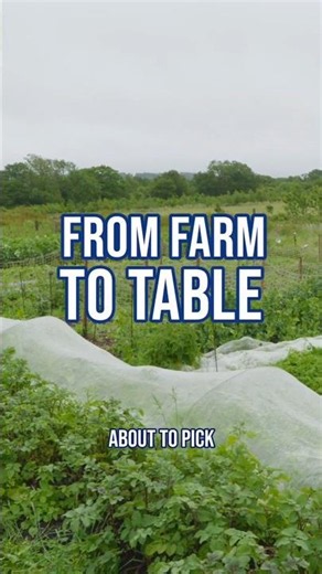 What Zero-Import Cooking Actually Looks Like #food #farmtoplate #cooking