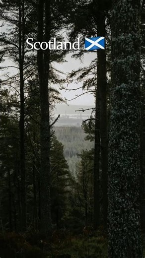 Scotland in 4K 🇬🇧 Peaceful Highlands & Epic #calm #relaxing