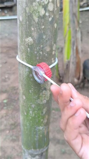 How to Makes a Smart Clothes Using Plastic Bottle