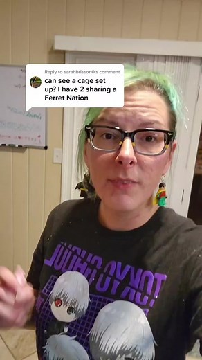 Pfeiffer the Ferret Lady on TikTok