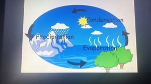 Science class Kg1 Miss Mai | English Minaret kindergarten & Talents center | Facebook