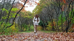 Attractive young woman walking down the park. Pretty lady walking by in autumn street.