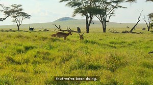 35 reactions · 9 comments | We continue to transform the lives of Lewa Wildlife Conservancy community by providing schools with digital platforms, clean water, health care programs among others through proceeds received from the Lewa Safari Marathon . #LewaSafariMarathon #TwendeTukiuke | Safaricom PLC | Facebook