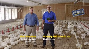 Perdue Farms TV Spot, 'Rosemary and Thyme'