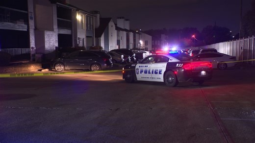 2 people found dead with gunshot wounds in Dallas apartment complex overnight, officials say