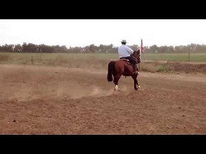 Ejercicios de adiestramiento con caballo Criollos/Alexis Reta con Eros Calabassa
