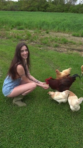 Feeding the chickens by hand is so relaxing 🐓 #homesteadlife #chickens #farmlife #farmgirl #cou