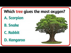 "Ultimate GK Quiz Challenge 🔥 | Test Your Brain Power!"