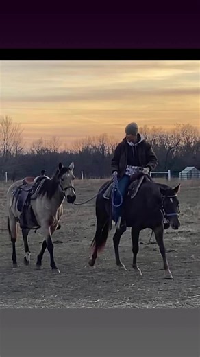 1.6K views · 24 reactions | The house will just get dirty again anyway. | ChristiAna | Facebook