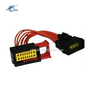 [Hot Item] Wiring Harness and Connector for Automotive