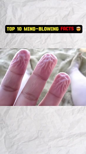 99% Peoples don’t Know these facts😱 #scisnap #facts #foryoupage