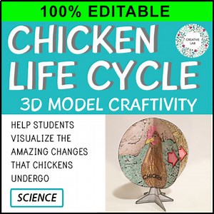 Chicken Life Cycle - 3D Model Craft Activity - 100% Editable