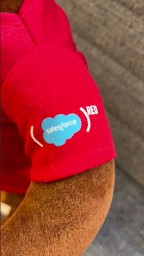 An exclusive interview with Salesforce's Codey the Bear