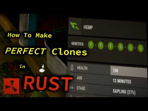 Master Cloning in RUST: Grow Hemp, Berries, and Food Efficiently in this Zero to Hero Guide
