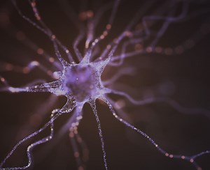 Schroders Capital Global Innovation Trust - INOV