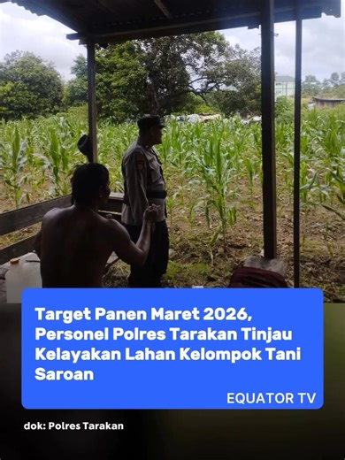 Personel Penjagaan Polsek Kawasan Sektor Kawasan Pelabuhan (KSKP) Polres Tarakan melakukan peninjauan langsung ke lahan penanaman jagung di Jalan Lestari, Kelurahan Karang Harapan, Kota Tarakan, Kamis (5/2/2026). Langkah ini merupakan bagian dari komitmen kepolisian dalam mendukung Program Ketahanan Pangan Nasional dan percepatan swasembada pangan di wilayah Kalimantan Utara. Dalam kegiatan yang dimulai pukul 09.00 WITA tersebut, personel Polsek KSKP bersama Unit Intelkam bersinergi dengan Ketua