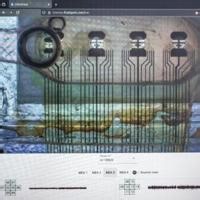 'Wetware': Scientists use human mini-brains to power computers