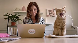 Basepaws Makes a $50 Million Deal - Shark Tank - The Global Herald