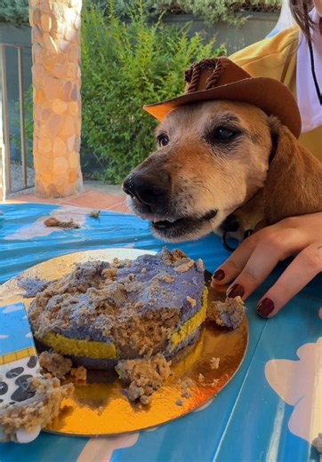 I'm only 17 — birthday TikTok celebration