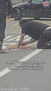 Searching for queen bee to save hive 🐝 | 5-Year Crafts