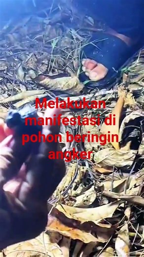 manifestasi di pohon beringin angker