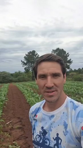 Estudiá Enología y Fruticultura 🍇🍊 Si te apasiona la tierra, el vino y la producción regional, esta carrera es para vos. Aprendé a cultivar, transformar y crear productos con identidad local. Formación técnica prácticas reales en campo y bodegas. Convertite en profesional de una industria que no para de crecer. 📍 Inscribite y empezá a estudiar lo que realmente te gusta. | Instituto Técnico Superior de Concordia