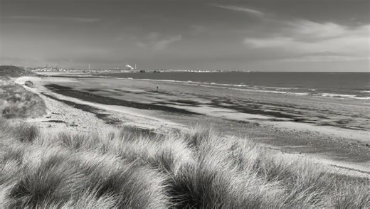 Five Helpful Tips for Better Black and White Photography