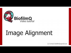 BiofilmQ Tutorials - 2.1.2 Image Alignment