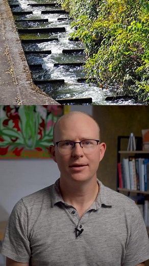 Exploring Fish Ladders: Engineering Solutions for Migratory Species