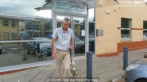 🐶 As part of #VolunteersWeek we followed around a very special volunteer of ours... | Scottish SPCA