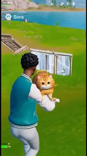 FORTNIGHT CAT GUN??? 🙀🙀 #shorts