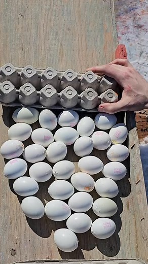 Breaking Me | Punlork