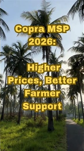 🥥🌴MSP for Copra 2026 | Milling & Ball Copra Prices🌴