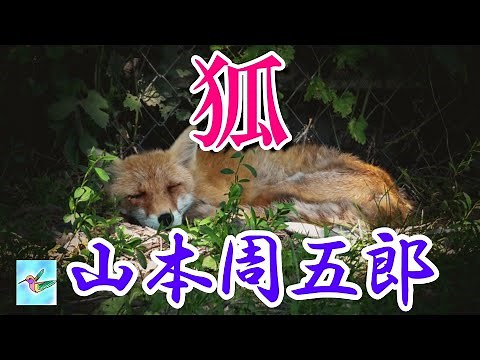 【朗読】「狐」 山本周五郎 朗読 アリア