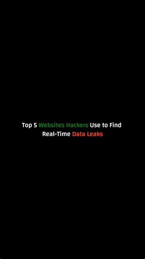 Top 5 Web Site for Hacker's for Real time Data Leak